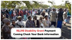 Disability Grant Alert: Confirm Your Bank Info for August 16, 2025 Payment of R2,315
