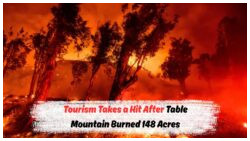 Table Mountain’s February Blaze: The Lingering Impact of 148 Acres Devastated